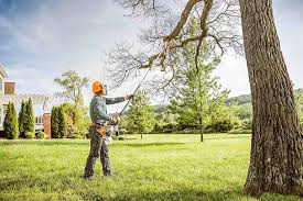 Best Hazardous Tree Removal  in Union Gap, WA