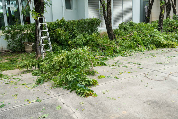 Best Emergency Tree Removal  in Union Gap, WA